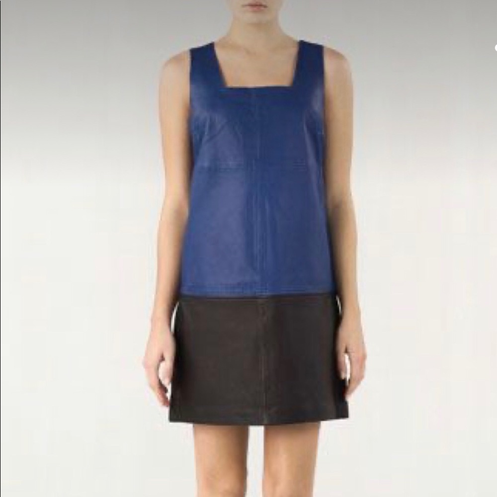 Massimo Dutti Two Tone Leather Mini Dress